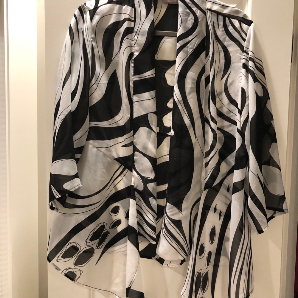 Sheer Jacket - image 4